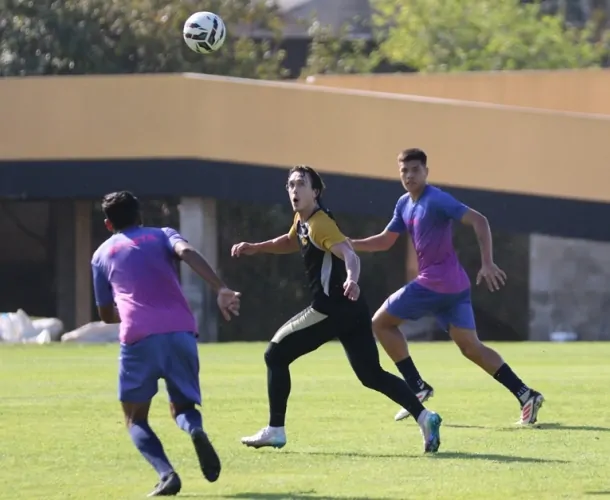 Tigre se reapresentou na manhã desta Terça-feira e com jogo treino